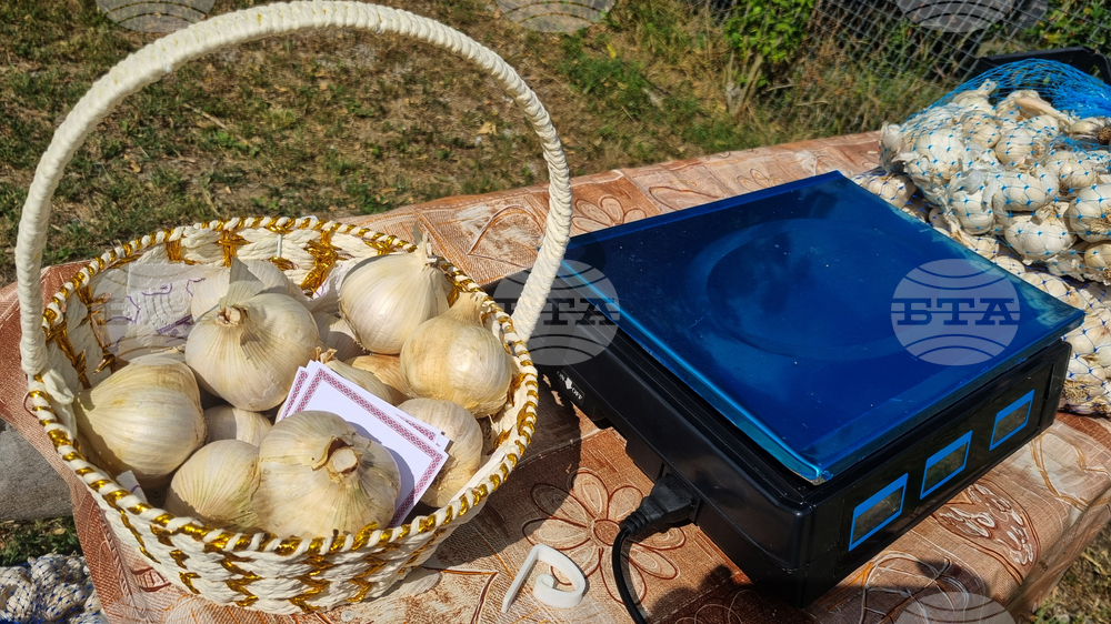 Рекорден скок при карфиола и поевтиняване на чесъна отчита САПИ в седмичния си анализ за цените на дребно у нас