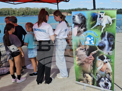 Русе - парад - домашни любимци