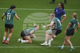 RWC France Ireland Rugby