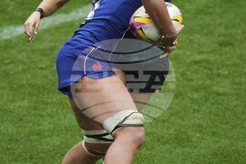 RWC France Ireland Rugby