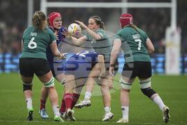 RWC France Ireland Rugby