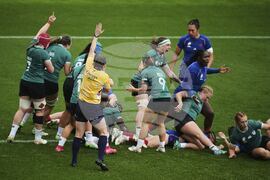 RWC France Ireland Rugby