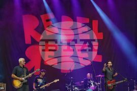 Музика - Rebel Rebel - фестивал