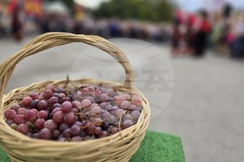 Враца - 136-то издание на есенния врачански панаир