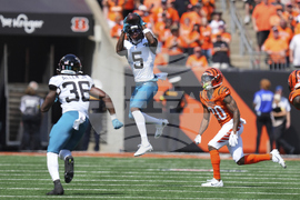 Jaguars Bengals Football