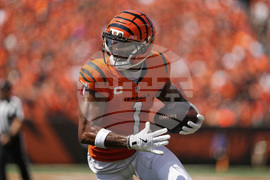 Jaguars Bengals Football