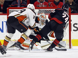 Ducks Hurricanes Hockey