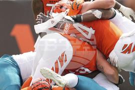 Jaguars Bengals Football
