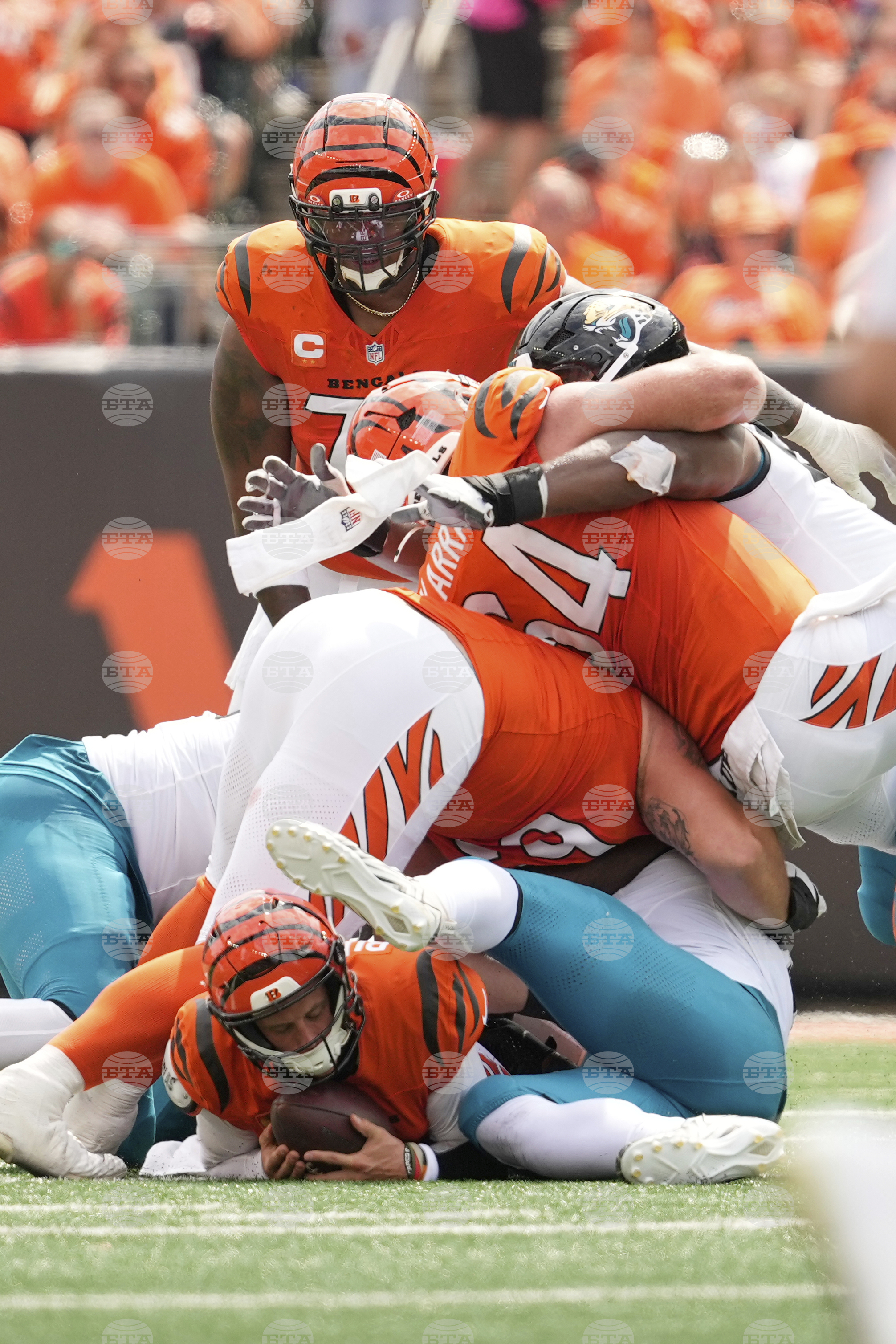 Jaguars Bengals Football