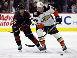 Ducks Hurricanes Hockey