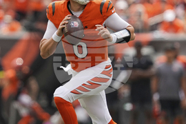 Jaguars Bengals Football