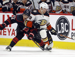 Ducks Hurricanes Hockey