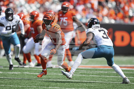 Jaguars Bengals Football