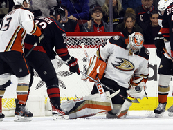 Ducks Hurricanes Hockey