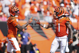 Jaguars Bengals Football