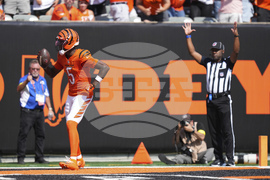 Jaguars Bengals Football