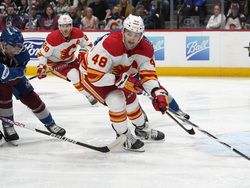 Flames Avalanche Hockey