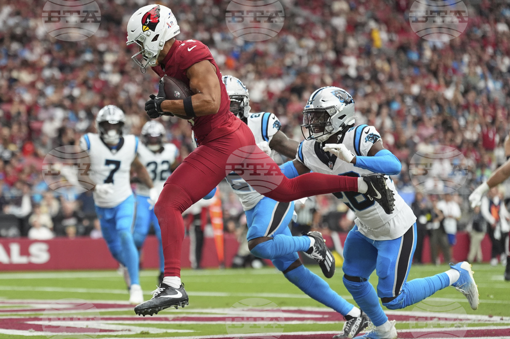 APTOPIX Panthers Cardinals Football
