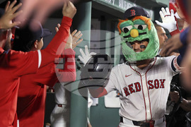 Yankees Red Sox Baseball