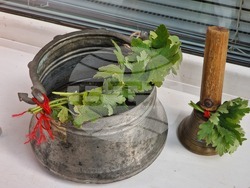 Разград - Основно училище „Н. Й. Вапцаров“- нова учебна година