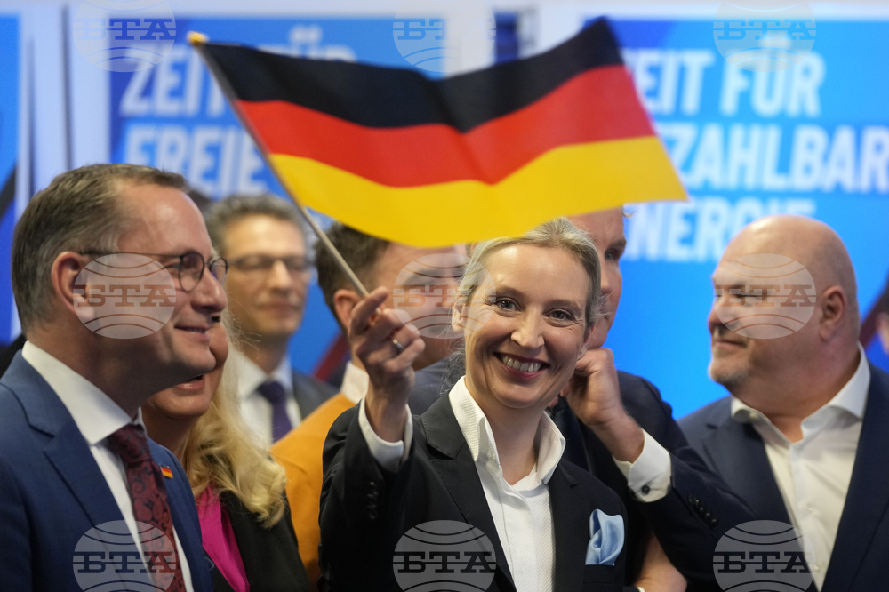 Мнозинството от германците смятат, че партия „Алтернатива за Германия“ е твърде близка до Москва, сочи допитване