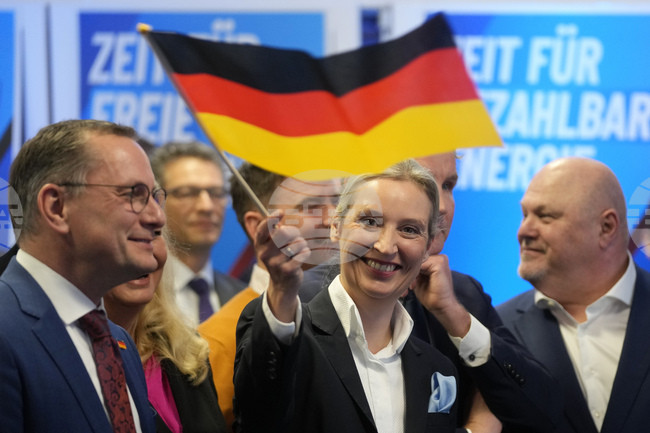 Мнозинството от германците смятат, че партия „Алтернатива за Германия“ е твърде близка до Москва, сочи допитване