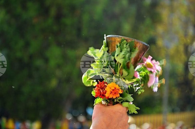 В община Сандански 315 деца прекрачиха за първи път училищния праг