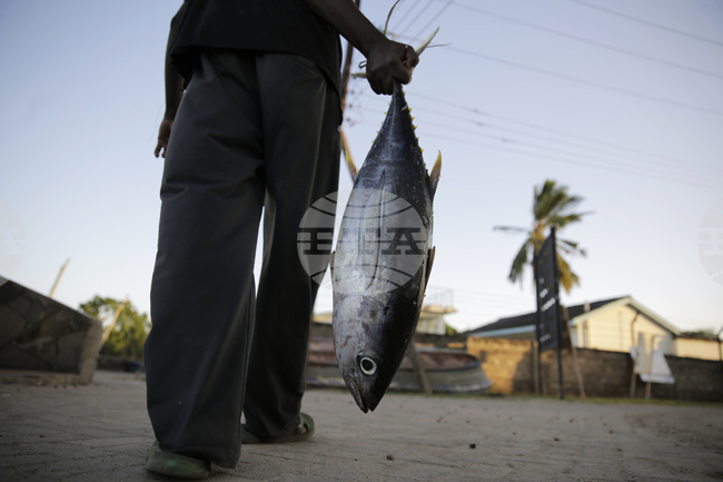 WTO Fisheries Subsidies
