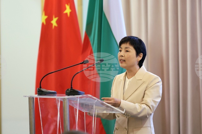 На фона на изпълнената с конфликти международна среда Китай и Европа трябва да бъдат приятели, каза посланик Дай Цинли на бизнес форум в София