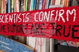 Румъния - Меган Доминеску - текстилен артист