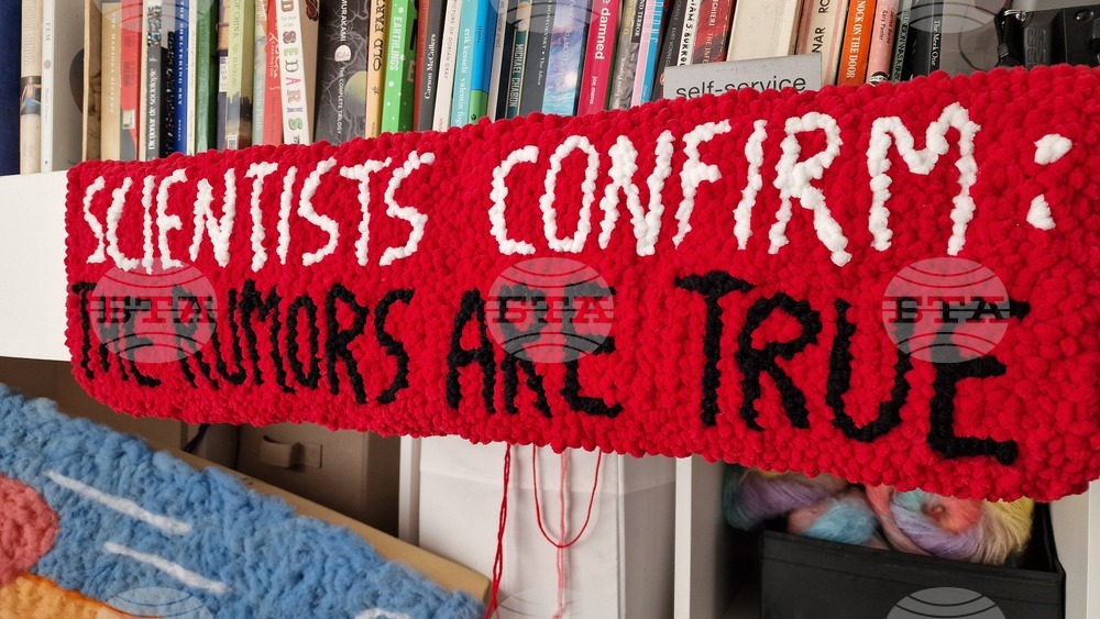 Румъния - Меган Доминеску - текстилен артист