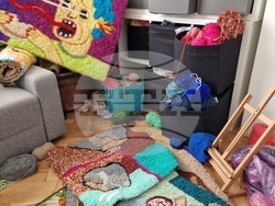 Румъния - Меган Доминеску - текстилен артист