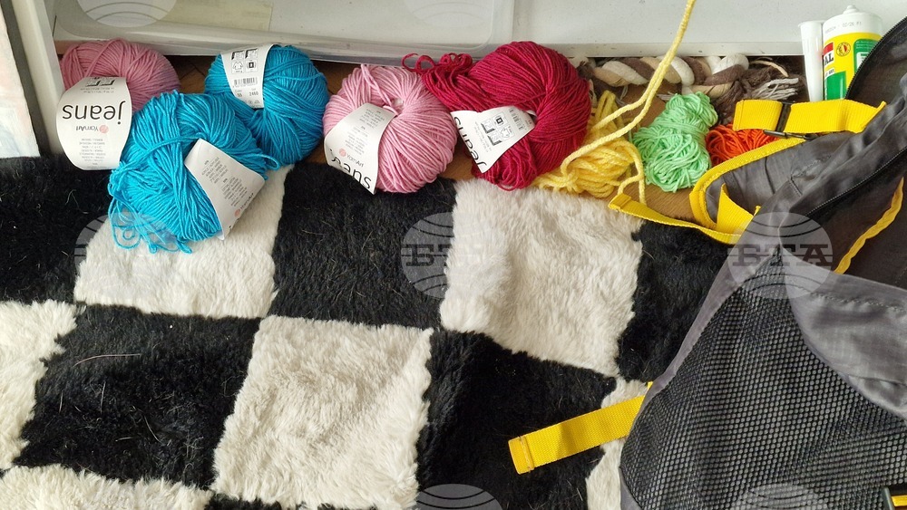 Румъния - Меган Доминеску - текстилен артист