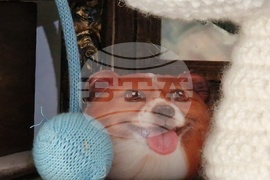 Румъния - Меган Доминеску - текстилен артист