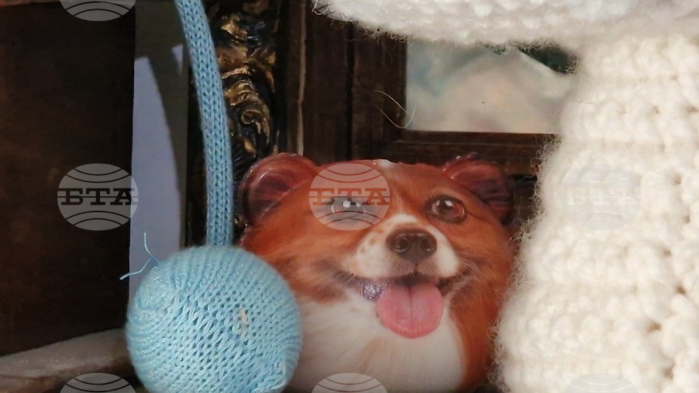 Румъния - Меган Доминеску - текстилен артист