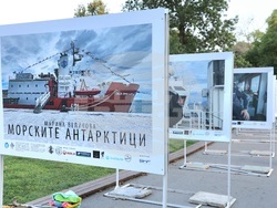 Варна - Фотографска изложба „Морските антарктици“