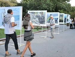 Варна - Фотографска изложба „Морските антарктици“