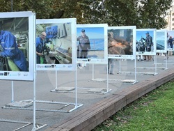 Варна - Фотографска изложба „Морските антарктици“