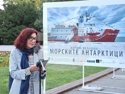 Варна - Фотографска изложба „Морските антарктици“