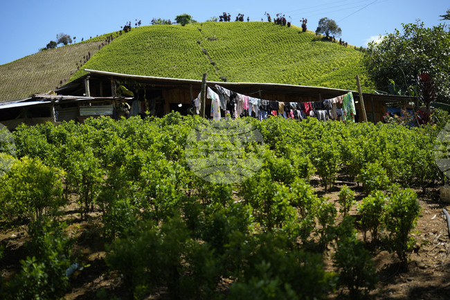 Тръмп нарeчe колумбийския президент „нарколидер“ и заплаши да спре помощите за Богота 