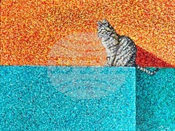 Творбата "Сенки и котешки размисли" на Танер Мерт. Снимка: организаторите