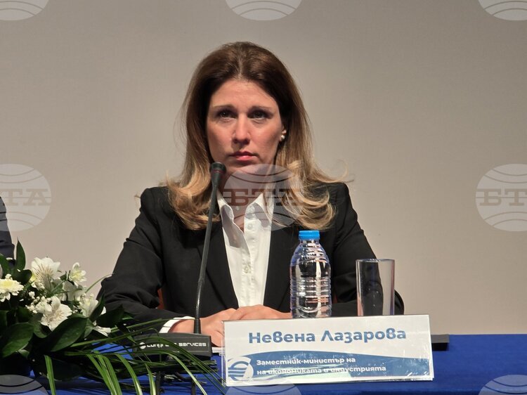 Deputy Economy Minister: Bulgaria Aims for Smooth, Transparent Euro Transition