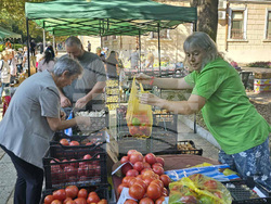 Добрич - изложение - производители и занаятчии