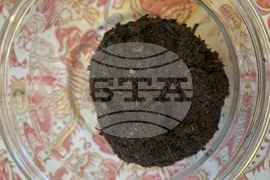 Gardening-Houseplants-Kokedama