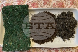 Gardening-Houseplants-Kokedama