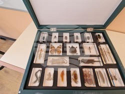 Троян - село Черни Осъм - Национално училище за планински водачи - СТЕМ кабинети