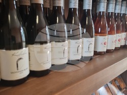 Каварна - „Калиакра" - винарска изба