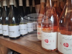 Каварна - „Калиакра" - винарска изба