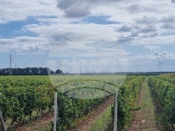 Каварна - „Калиакра" - винарска изба