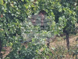 Каварна - „Калиакра" - винарска изба